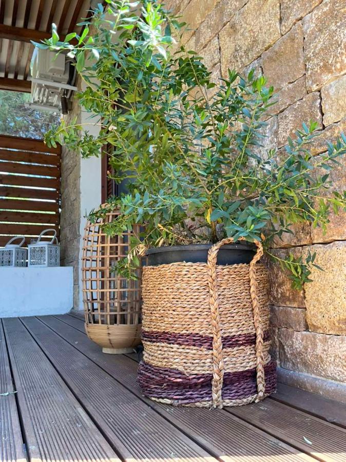 Villa Maistros Kalivaki à Vourvourou Extérieur photo